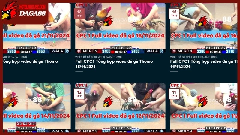 Trang Chủ 48 Dịch vụ xem các trận đá gà trực tiếp 88 hoàn toàn là miễn phí