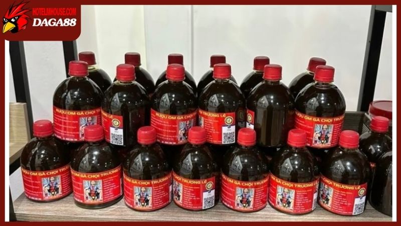 Sử dụng rượu bóp gà chọi như thế nào mới đúng chuẩn nhất? 5 Cách sử dụng rượu bóp gà chọi đúng chuẩn