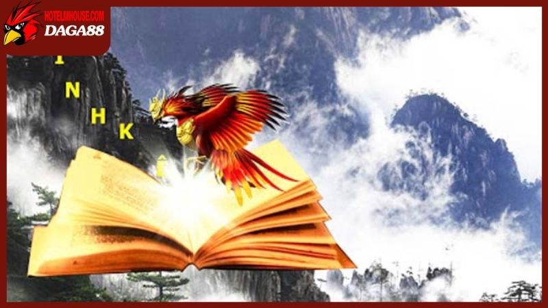 Kinh kê gà chọi là gì? Có quan trọng trong đá gà chuyên nghiệp không? 4 Bí kíp kinh kê gà chọi lưu truyền bí mật của giới đá gà