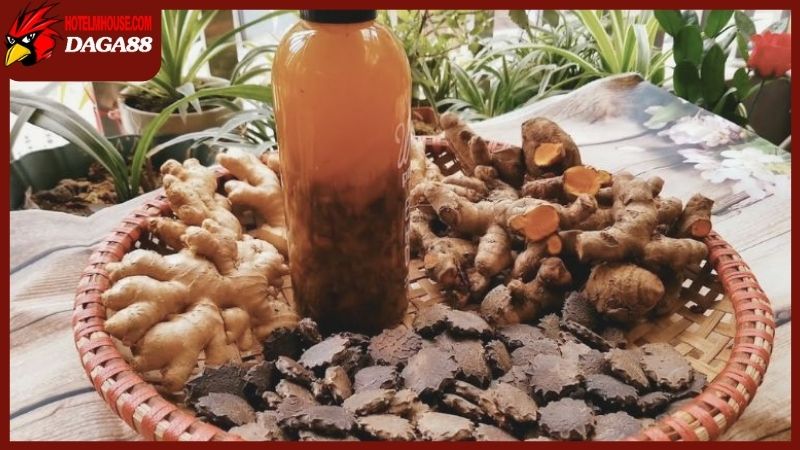 Sử dụng rượu bóp gà chọi như thế nào mới đúng chuẩn nhất? 4 Tầm quan trọng của rượu bóp gà chọi trong quá trình nuôi