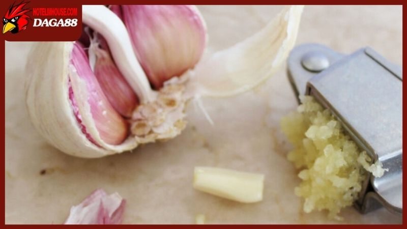 Những trường hợp nên hay không nên cho gà ăn tỏi