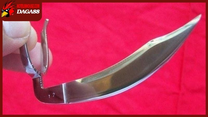 Xem cựa gà đá chuẩn, hướng dẫn chi tiết từ cao thủ nuôi gà 5 Xem cựa gà đá thông qua một số loại gắn rời thông dụng