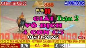 Gà Đá Giải C5 Trận 2: Tám Tài Xỉu (0đ) vs CF789 B (0đ)