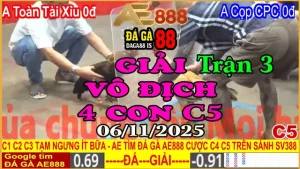 Gà Đá Giải C5 Trận 3: Toàn Tài Xỉu (0đ) vs Cọp CPC (0đ)