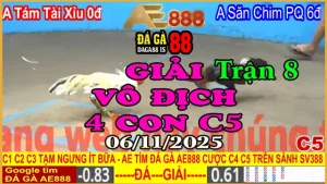 Gà Đá Giải C5 Trận 8: Tám Tài Xỉu (0đ) vs Kẽ Săn Chim PQ (6đ)
