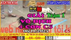 Gà Đá Giải C5 Trận Đầu Tiên: CF789 A (0đ) vs Kẽ Săn Chim PQ (0đ)